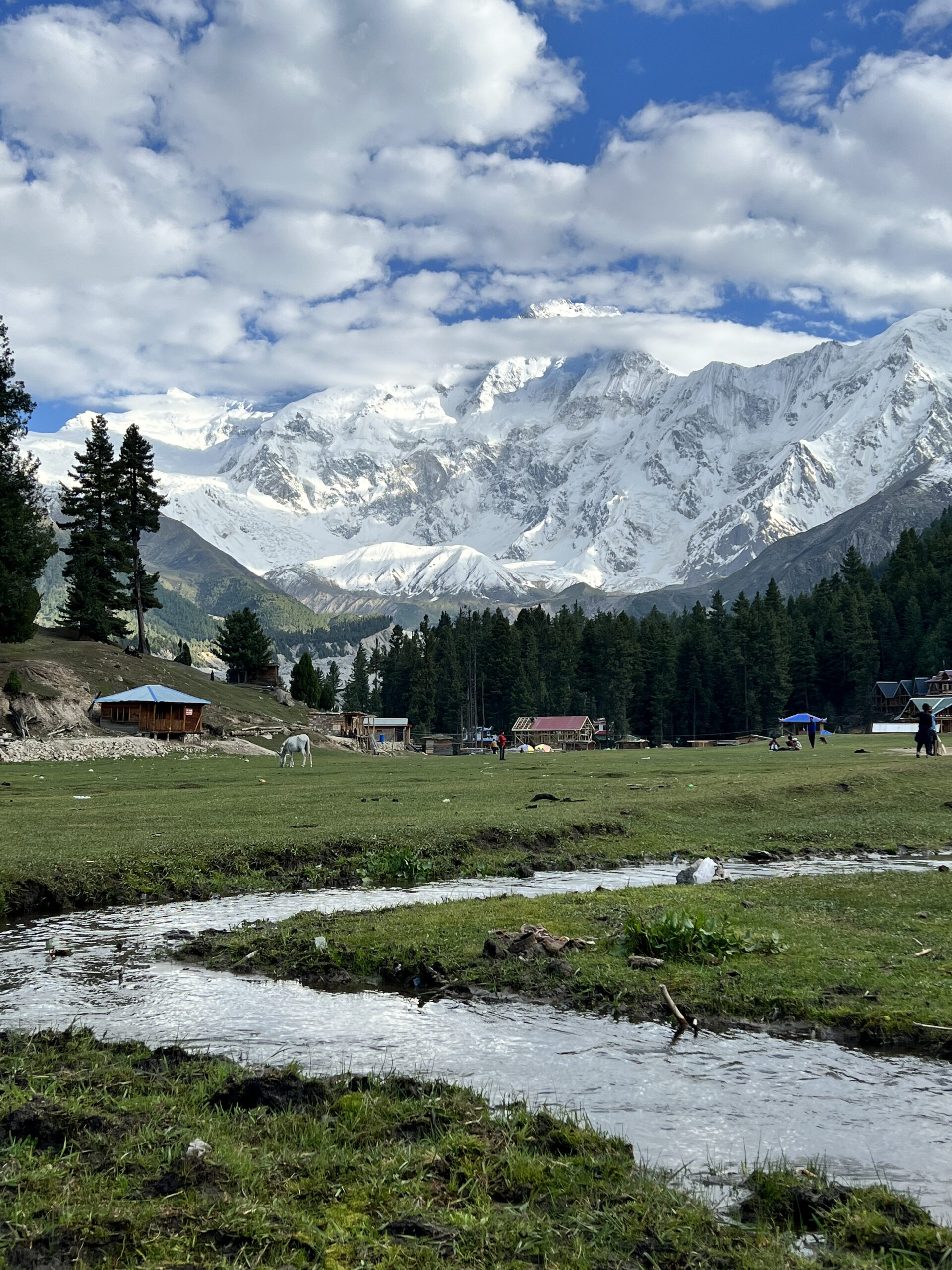 Fairy Meadows