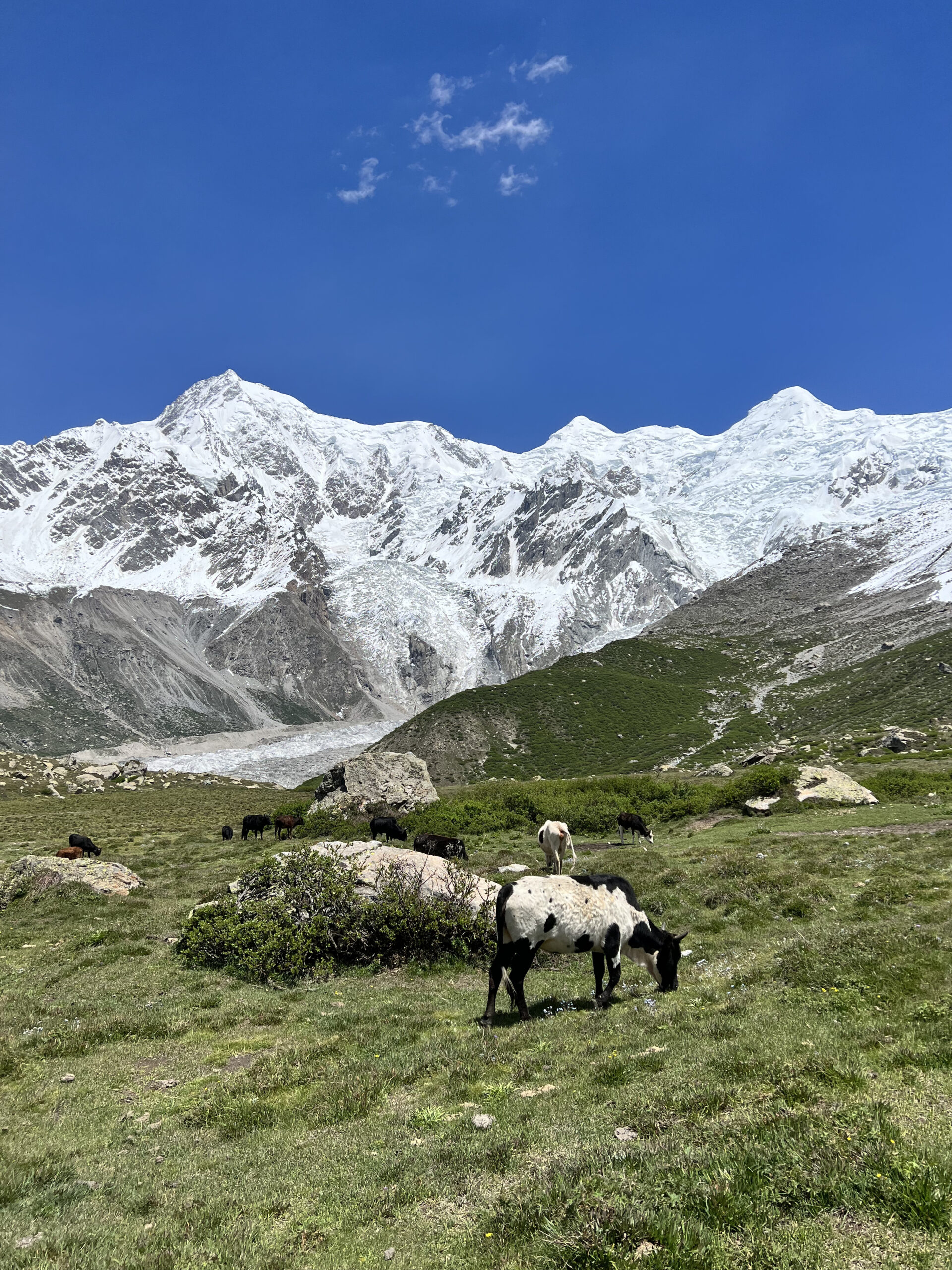 Nanga Perbat