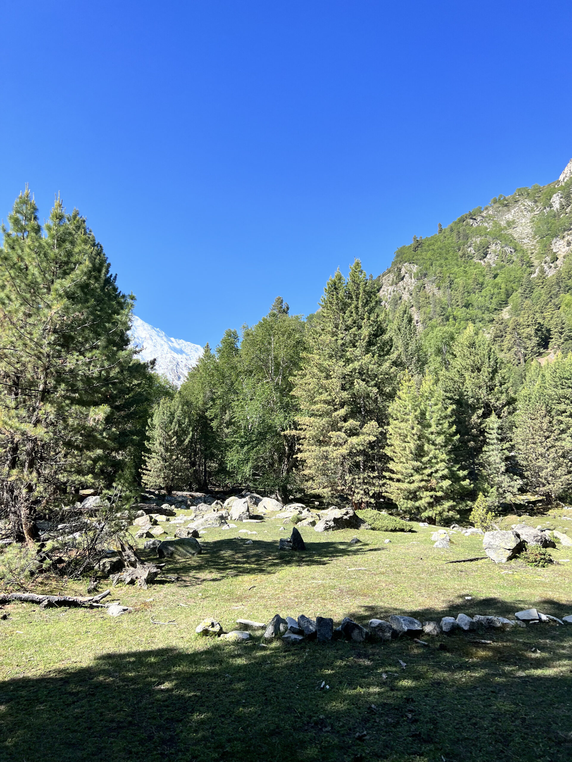 Fairy Meadows